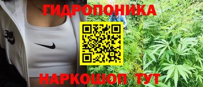 дмт Краснодар